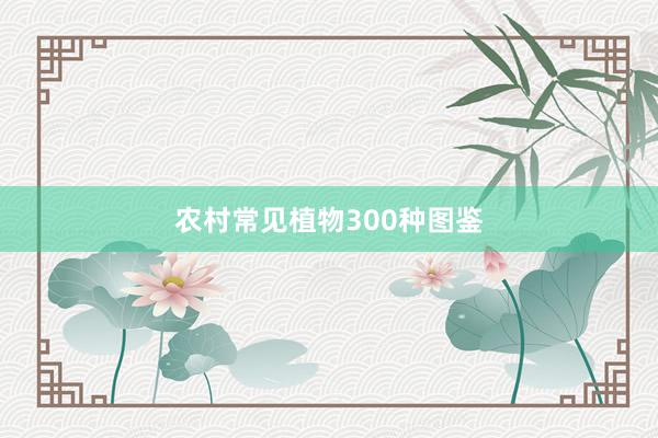 农村常见植物300种图鉴